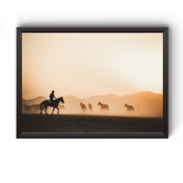 Vastu Horse Picture Photo Frame For Office And Home Decor