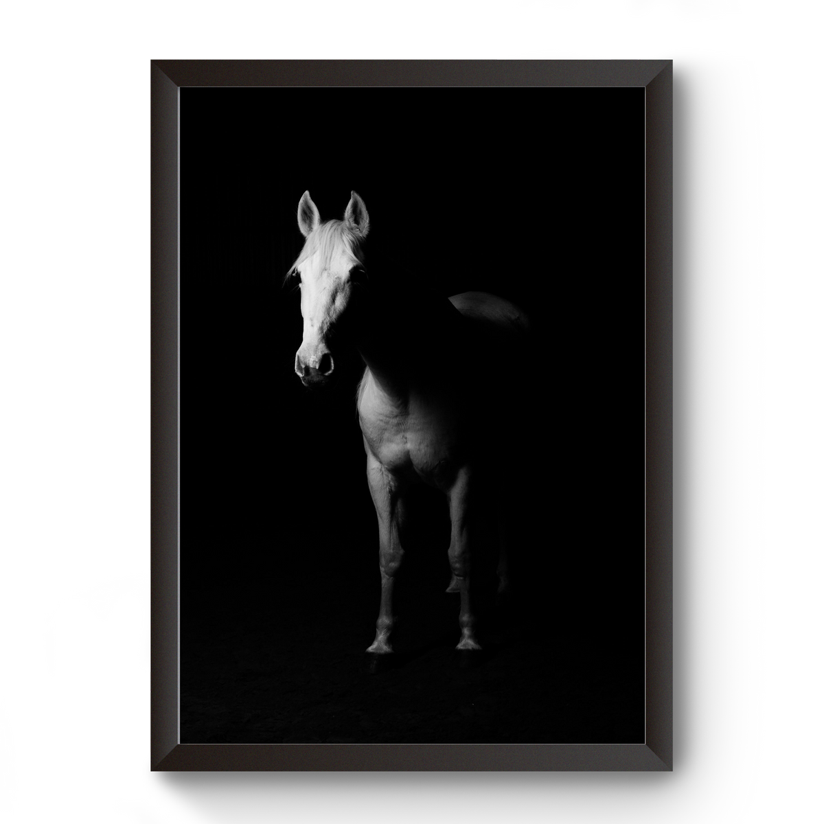 Vastu Horse Picture Photo Frame For Office And Home Decor divine-frames