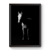 Vastu Horse Picture Photo Frame For Office And Home Decor divine-frames