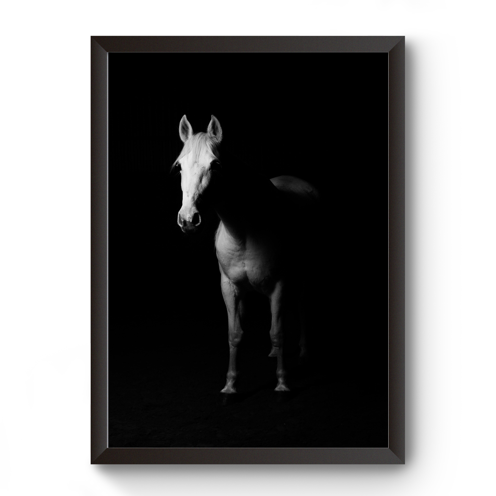 Vastu Horse Picture Photo Frame For Office And Home Decor divine-frames