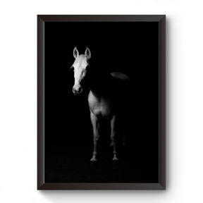 Vastu Horse Picture Photo Frame For Office And Home Decor divine-frames