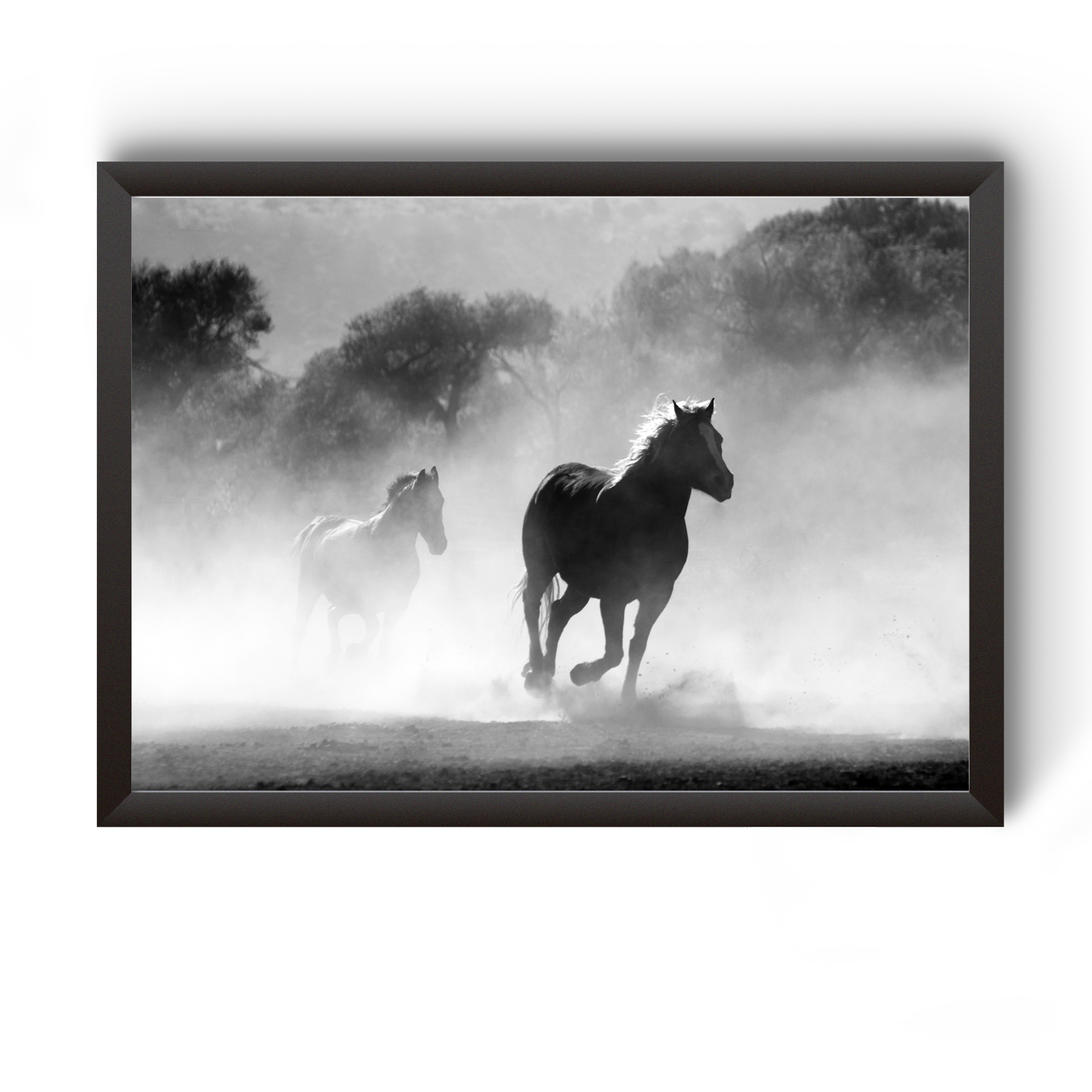 Vastu Horse Picture Photo Frame For Office And Home Decor divine-frames