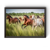 Vastu Horse Picture Photo Frame For Office And Home Decor divine-frames