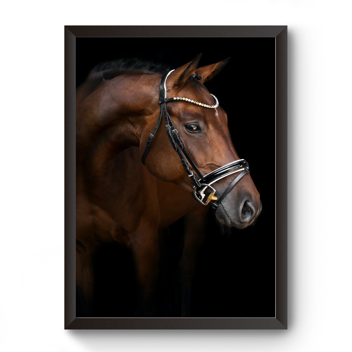 Vastu Horse Picture Photo Frame For Office And Home Decor divine-frames