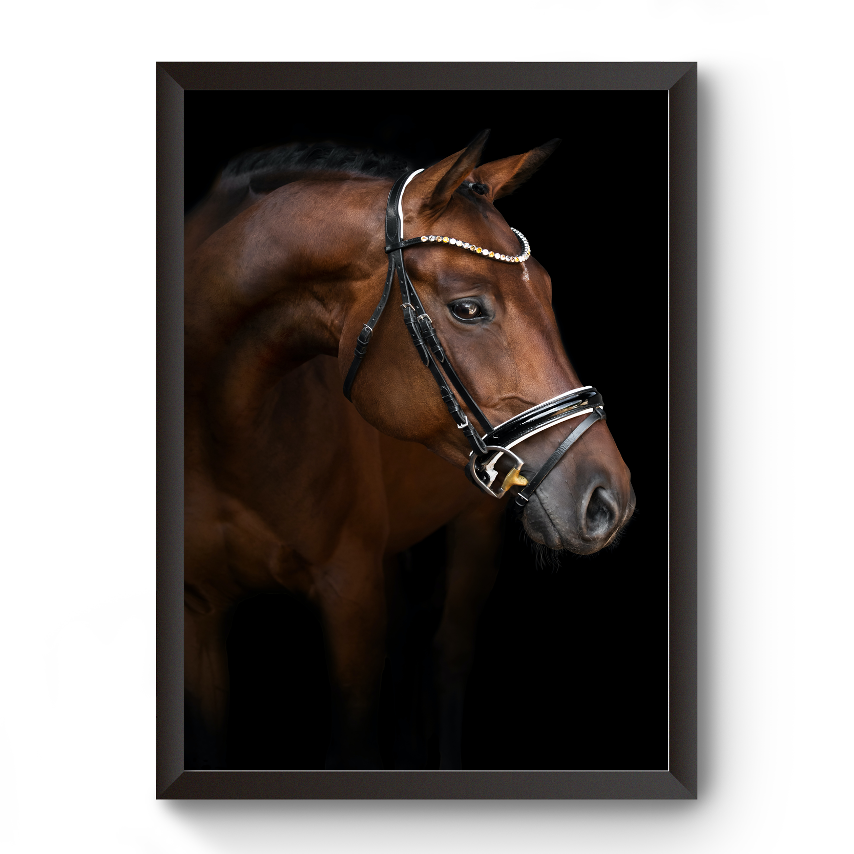 Vastu Horse Picture Photo Frame For Office And Home Decor divine-frames