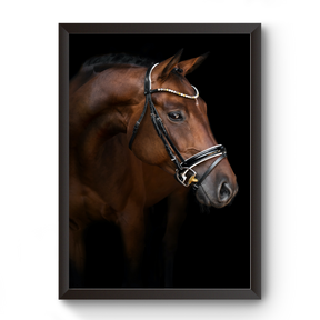 Vastu Horse Picture Photo Frame For Office And Home Decor divine-frames